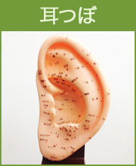 耳つぼ